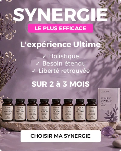 Synergie megamenu