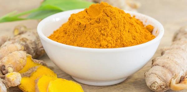 rhizome et poudre de curcuma plante curcuma longa