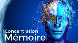 Mémoire et concentration toutes les solutions naturelles pour votre bien-être
