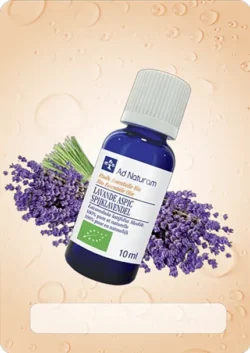 Aromatherapie huiles essentielles lavande aspic