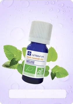 Aromatherapie huiles essentielles melisse