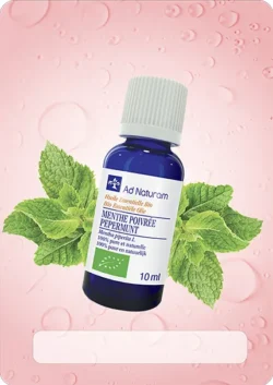 Aromatherapie huiles essentielles menthe poivree bio