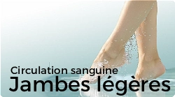 Circulation sanguine toutes les solutions naturelles contre les jambes lourdes