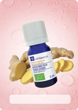 Huile essentielle gingembre