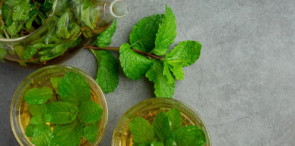 menthe poivree definition et bienfaits