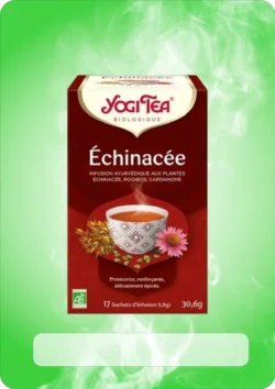 Echinacee