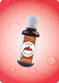 Phytotherapie gemmotherapie aubepine