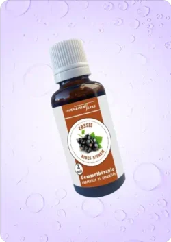 Phytotherapie gemmotherapie cassis