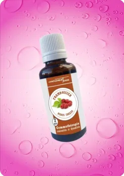 Phytotherapie gemmotherapie framboisier