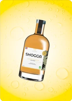 Concentre gingembre sans sucre ajoute shogga