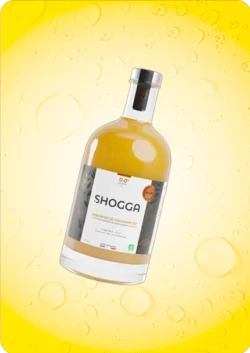 Jus gingembre citron curcuma 200 ml shogga